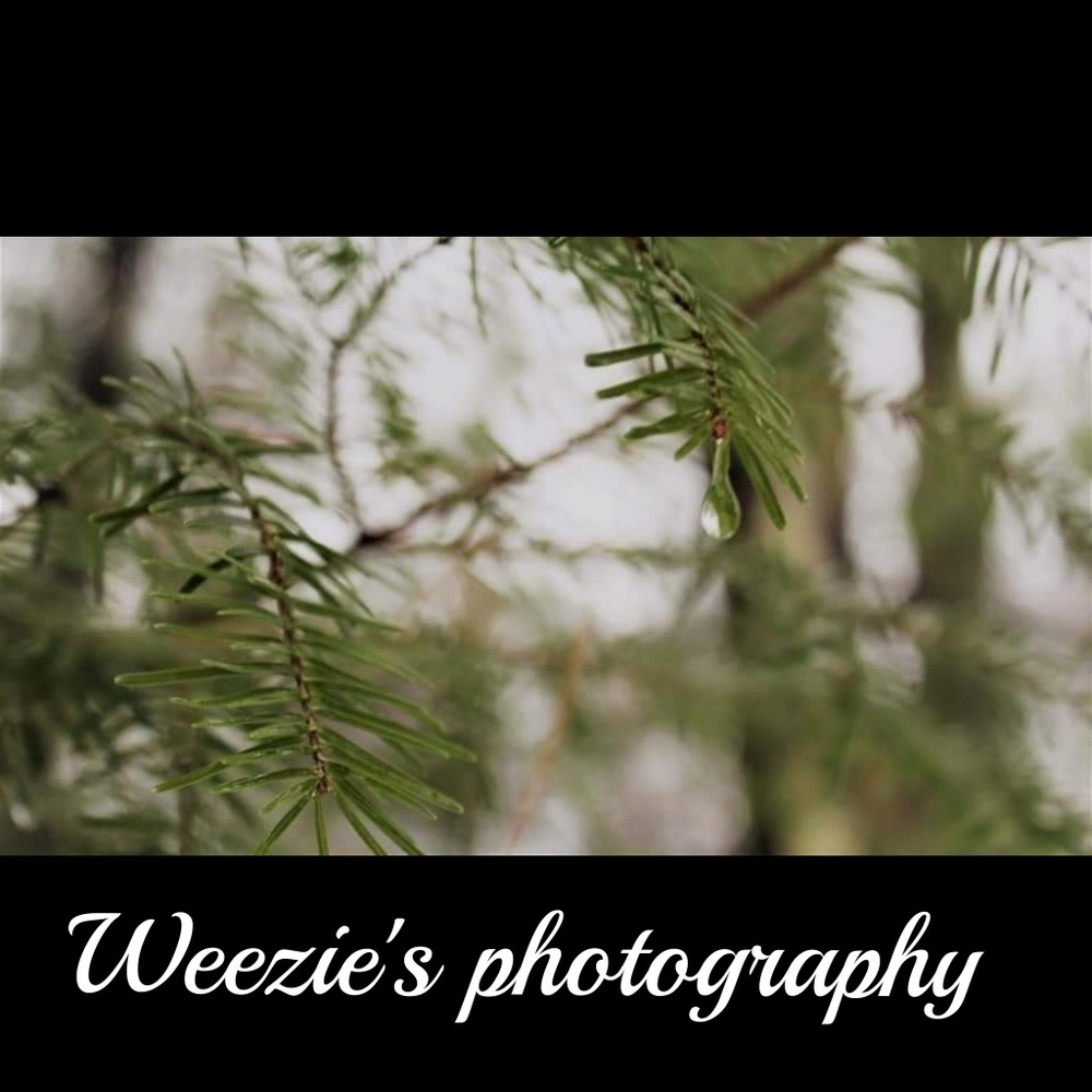 5 photography pictures